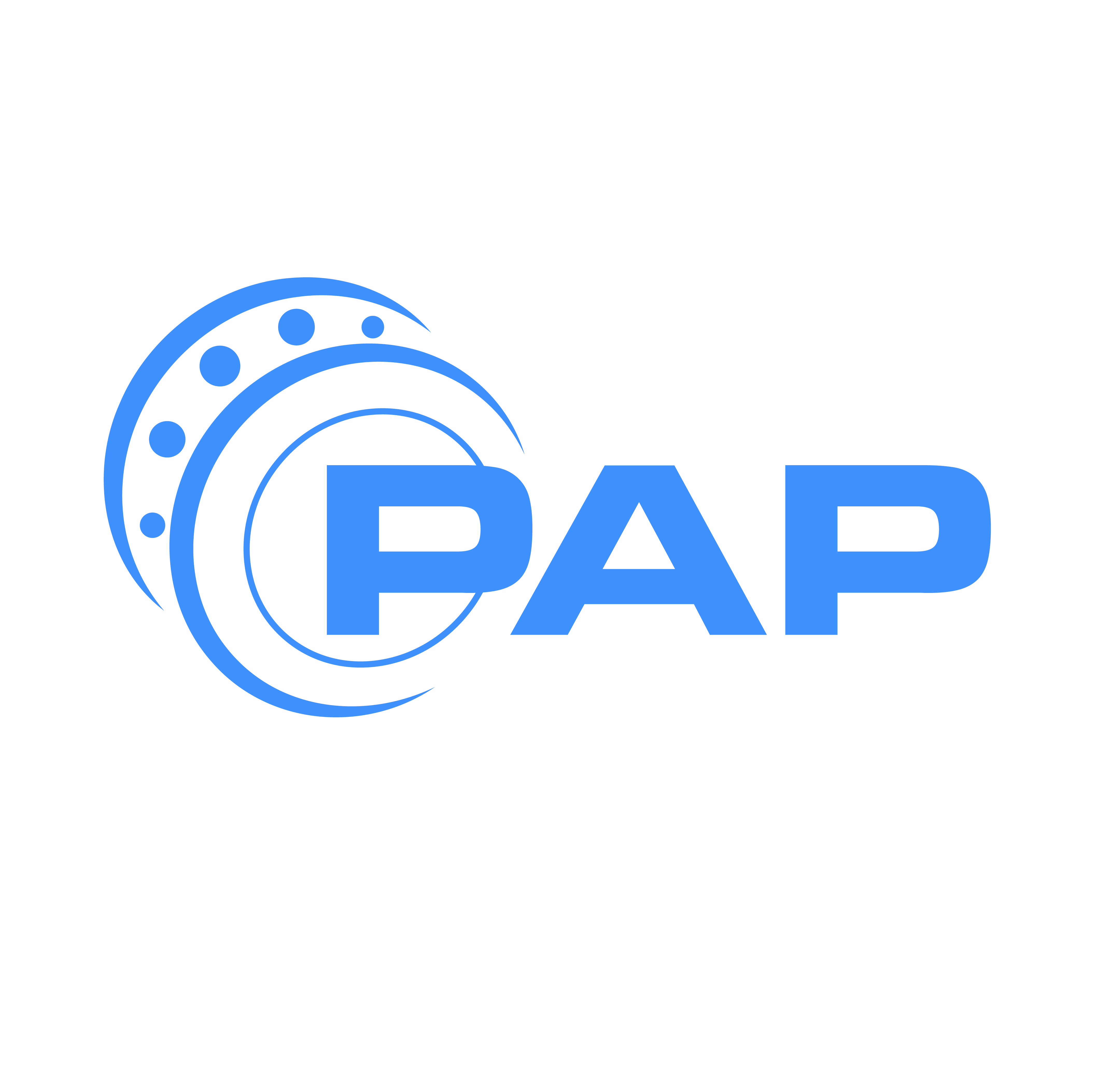 Logo PT PAP